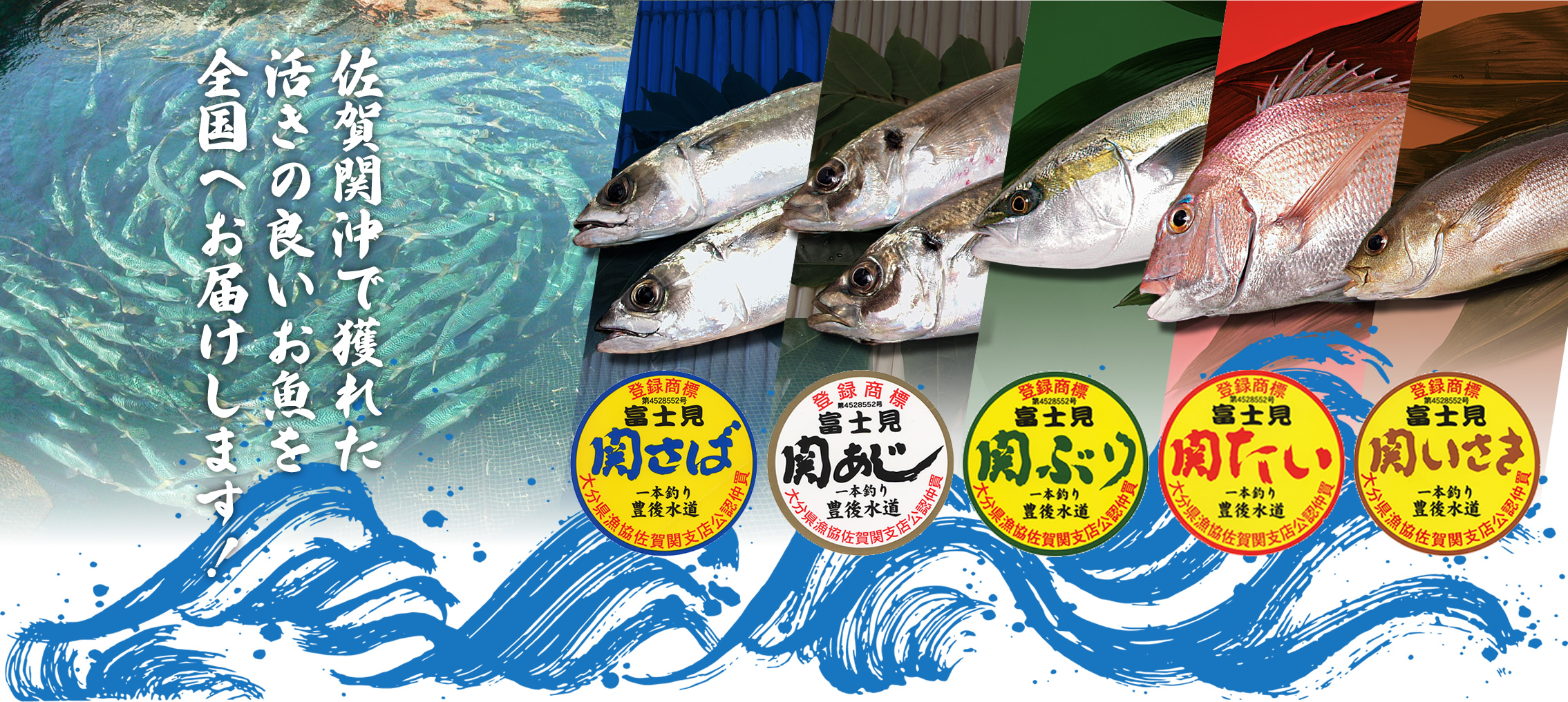 佐賀関沖で獲れた活きの良いお魚を全国へお届けします！